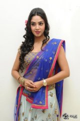 Angana Roy at Srimanthudu Movie Audio Launch